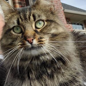 Meet your Posher, Cathy